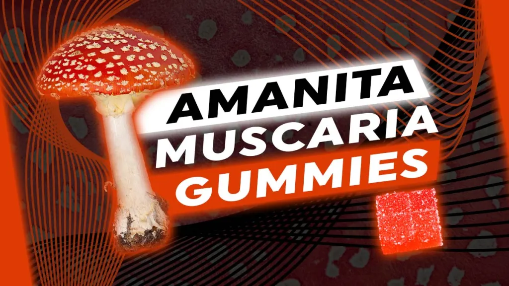 Amanita Mushroom Gummies For Sale Online