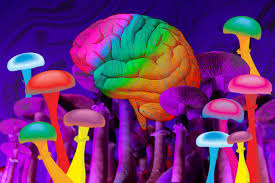 You are currently viewing The Science Behind psilocybin Mushrooms for Mental Health Treatment In The USA